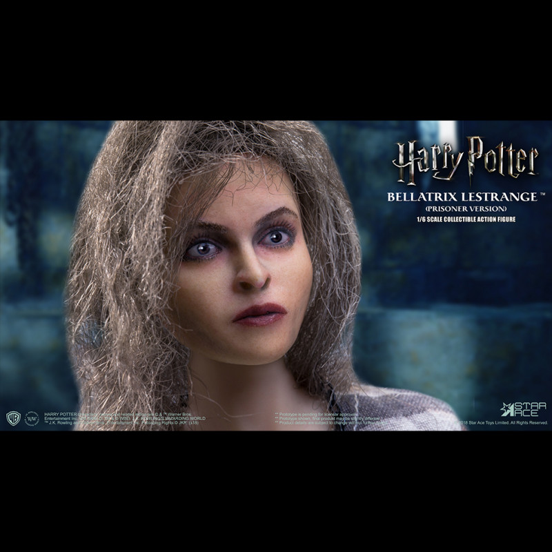 Star 2024 ace bellatrix